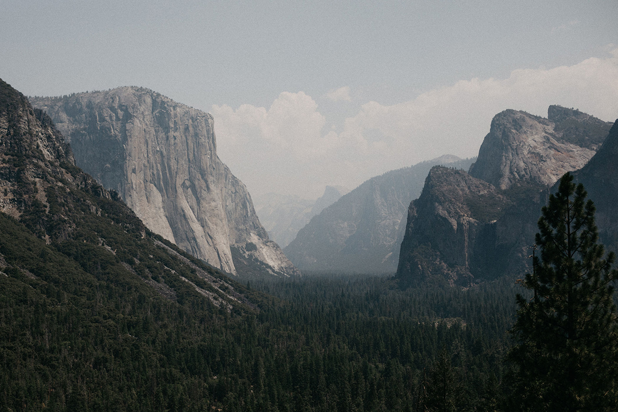Yosemite Wedding of Erin and Jason