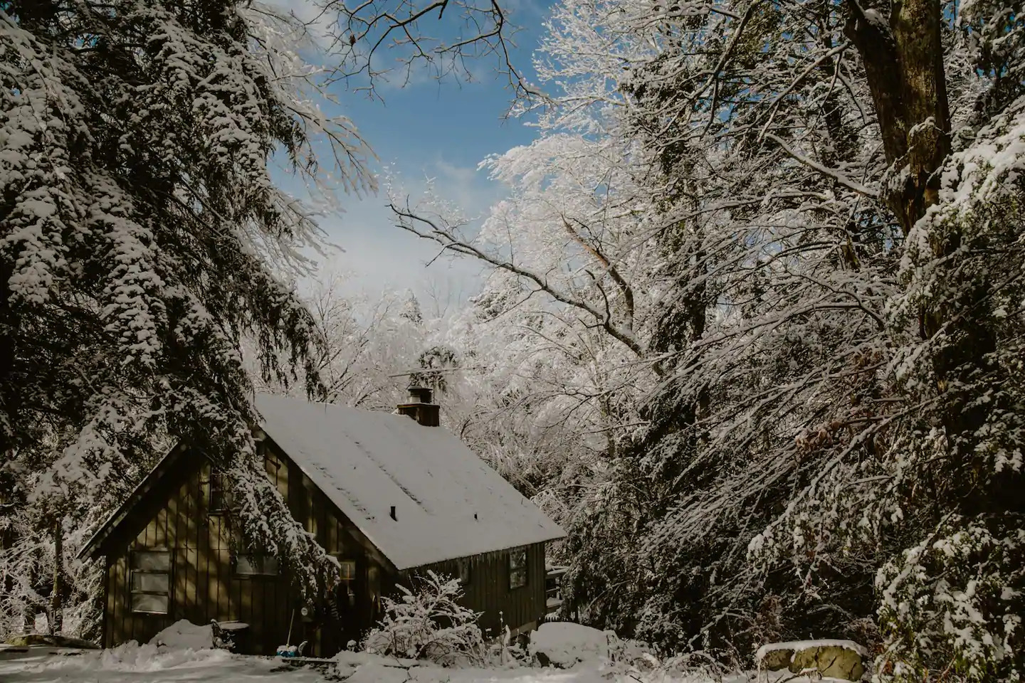 snowy honeymoon rental