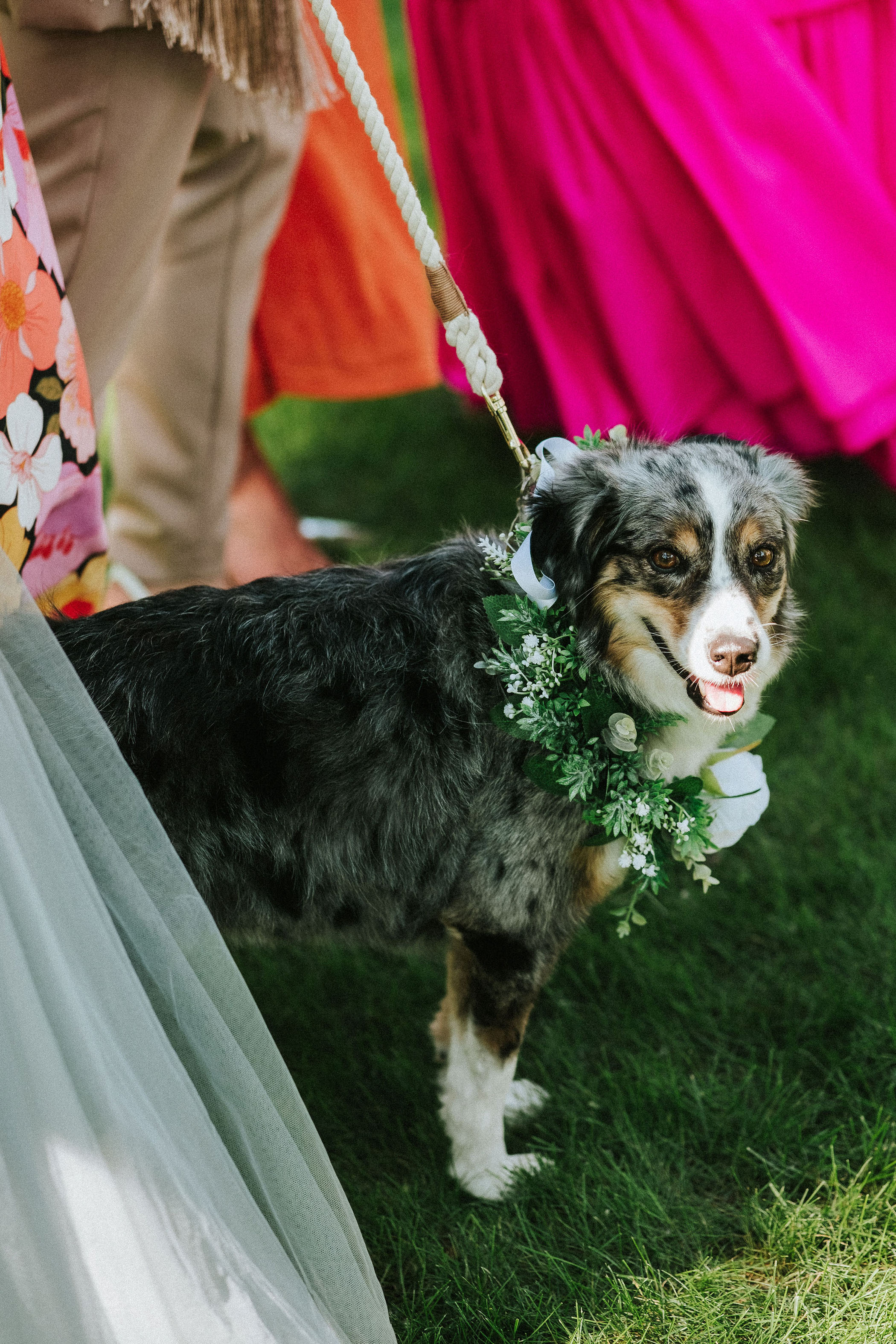 Canada's Colorful Rock 'n' Roll Backyard Anti-Wedding