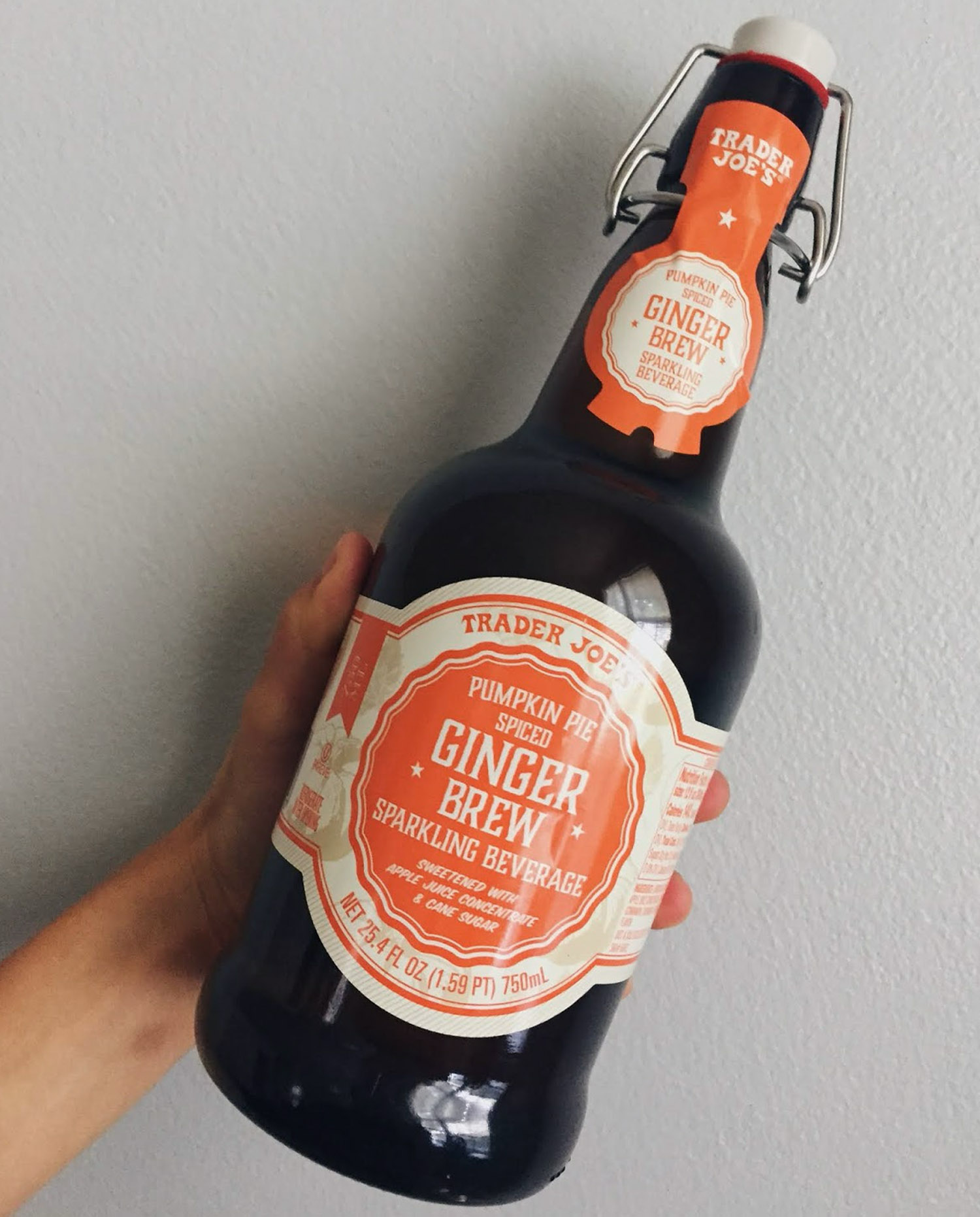 Pumpkin Spiced Ginger Brew