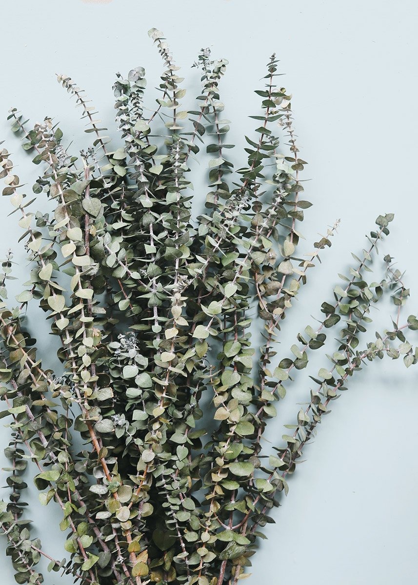 eucalyptus dried flowers bouquet from Afloral that you can buy online