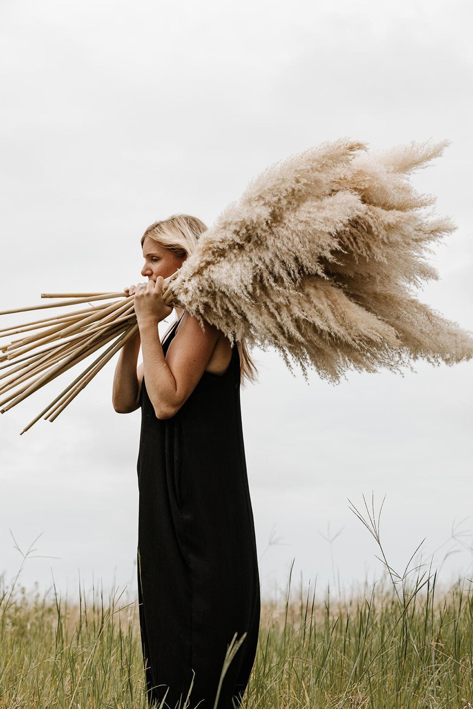 extra large pampas grass